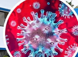 Salud publica dice que no existe evidencia de circulación en RD de la subvariante BA.3.2 del SARS-CoV-2, denominada «Cicada»