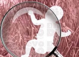 Feto de 16 semanas de gestación fue descubierto por niños en solar baldío del sector Villa Cerro en Higüey