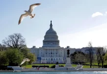 Cámara de representantes de Estados Unidos avala proyecto que apoya a los haitianos