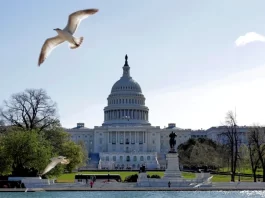 Cámara de representantes de Estados Unidos avala proyecto que apoya a los haitianos