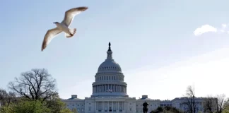 Cámara de representantes de Estados Unidos avala proyecto que apoya a los haitianos