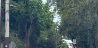 Dirigente de la Fuerza del Pueblo denuncia fallas en carretera recién inaugurada en Santiago