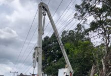 Edeeste interviene circuitos en Monte Plata y Bayaguana para reducir averías eléctricas