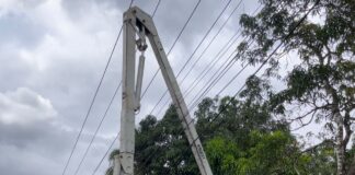 Edeeste interviene circuitos en Monte Plata y Bayaguana para reducir averías eléctricas