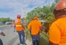 Seis personas lesionadas tras deslizamiento de minibús en cruce de Cabral