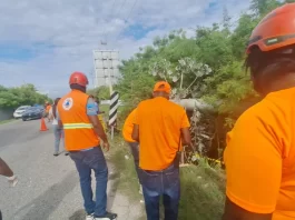 Seis personas lesionadas tras deslizamiento de minibús en cruce de Cabral