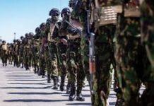 Haití incorpora 339 nuevos soldados para intensificar lucha contra bandas armadas