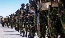 Haití incorpora 339 nuevos soldados para intensificar lucha contra bandas armadas