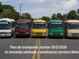 Comtrapico anuncia paro de transporte entre Consuelo y San Pedro en demanda de reparación total de carretera Mella