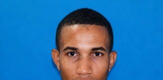 Solicitan familiares de joven choco con una vaca en el gustico de la vieja, carretera Hato Mayor-SPM