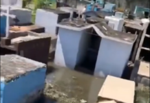 (Vídeo) piden declara en estado de emergencia cementerio de Haina
