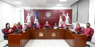 En medio de crisis, diputados estudian exoneraciones, pasaportes y privilegios para jueces del TC