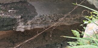 Transportistas y comunitarios alertan sobre el grave deterioro del puente Barahona-Cabral