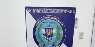 DINTEL y Ministerio Público desmantelan arsenal de armas en residencial de SPM