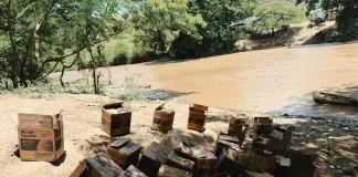 Ocupan contrabando de aceite para motor introducido desde Haití por el río Artibonito