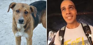 ‘Youtuber’ despelleja y se come a un perro callejero en un video «impactante»