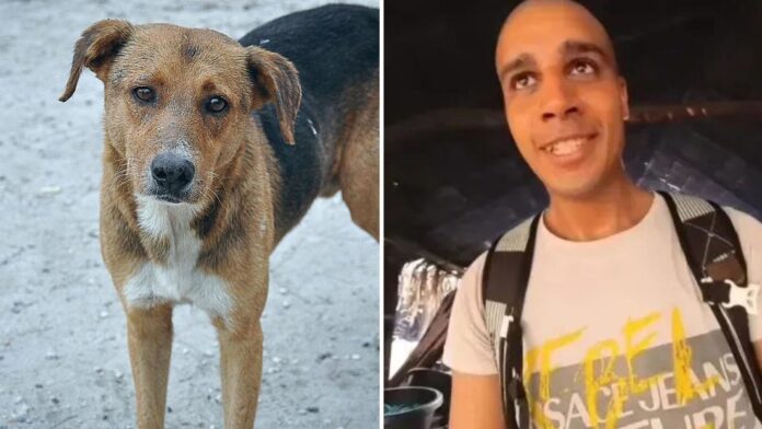 'Youtuber' despelleja y se come a un perro callejero en un video