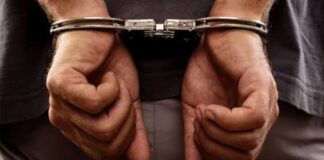 Arrestan en Florida a dominicano buscado por tráfico de armas durante trámite de ciudadanía