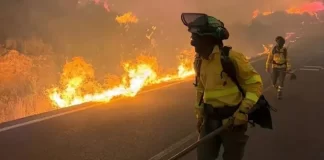 Continúa la batalla contra el fuego en España mientras se intenta identificar a fallecidos