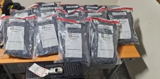 DNCD ocupa 25 paquetes de presunta marihuana en maleta que llego desde Nueva York