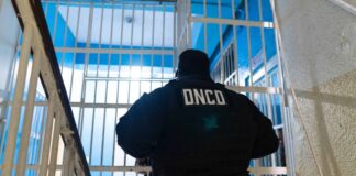 Capturan a dos fugitivos dominicanos reclamados por EE. UU. por homicidio y agresión sexual