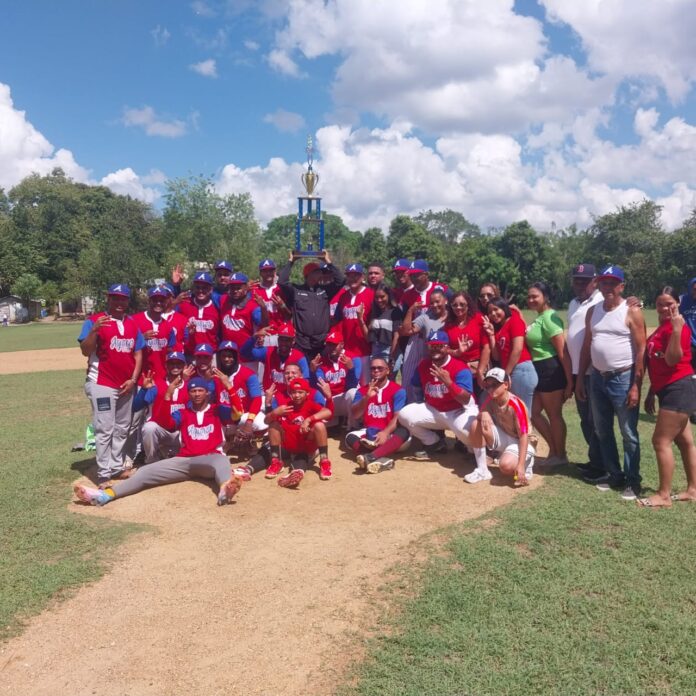 vicgecimo torneo de beibol