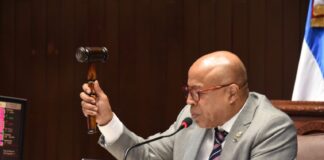 Cámara de Diputados aprueba dos préstamos por un total de US$465 millones