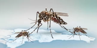 Dengue alcanza 213 casos en República Dominicana tras reportarse 11 nuevos contagios