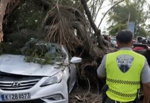 Cuatro personas resultaron heridas por caída de árbol en Las Américas