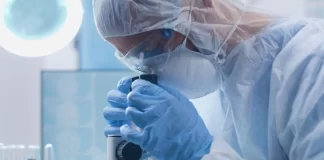 Descubren una combinación de fármacos que mejora el control del cáncer renal avanzado