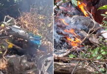 Helicóptero con turistas cae en una zona remota y no deja sobrevivientes