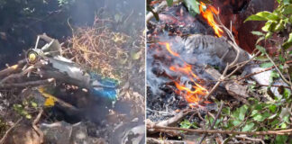Helicóptero con turistas cae en una zona remota y no deja sobrevivientes
