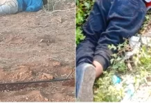 Dos hombres mueren a tiros en Oviedo, uno fue identificado como “Ciguillo”