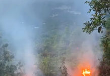Desconocidos causan dos incendios forestales en Puerto Plata
