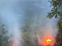 Desconocidos causan dos incendios forestales en Puerto Plata