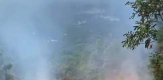 Desconocidos causan dos incendios forestales en Puerto Plata