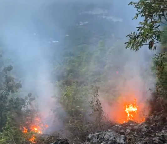 Desconocidos causan dos incendios forestales en Puerto Plata
