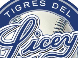Tigres del Licey dejan en libertad a cinco jugadores