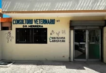 Veterinario atribuye casos de sarna en personas en Barahona a falta de higiene y hacinamiento
