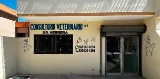 Veterinario atribuye casos de sarna en personas en Barahona a falta de higiene y hacinamiento