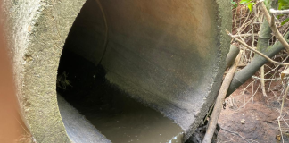 Denuncian nuevos vertidos de aguas residuales en el río Yaví, en Bayaguana