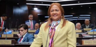 Diputados del PLD piden investigar al director del SNS por muertes de neonatos en La Altagracia