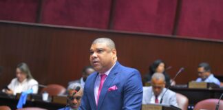 Diputado cuestiona gestión del Gobierno en seguridad ciudadana