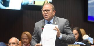 Sector eléctrico es el mayor descalabro del Gobierno de Abinader, según diputado