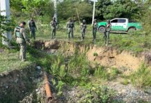 Servicio de Protección Ambiental realiza operativos contra la extracción ilegal de arena y tala de árboles