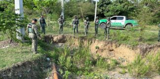 Servicio de Protección Ambiental realiza operativos contra la extracción ilegal de arena y tala de árboles
