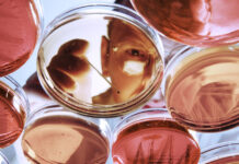 Cómo China aspira convertirse en potencia de la biomedicina