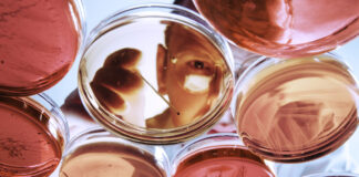 Cómo China aspira convertirse en potencia de la biomedicina