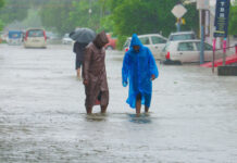 Lluvias torrenciales dejan decenas de muertos y más de mil viviendas dañadas en la India