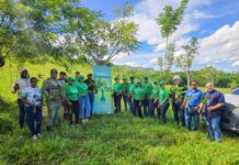 Edeeste y Ministerio de Medio Ambiente realizan jornada de reforestación en El Seibo